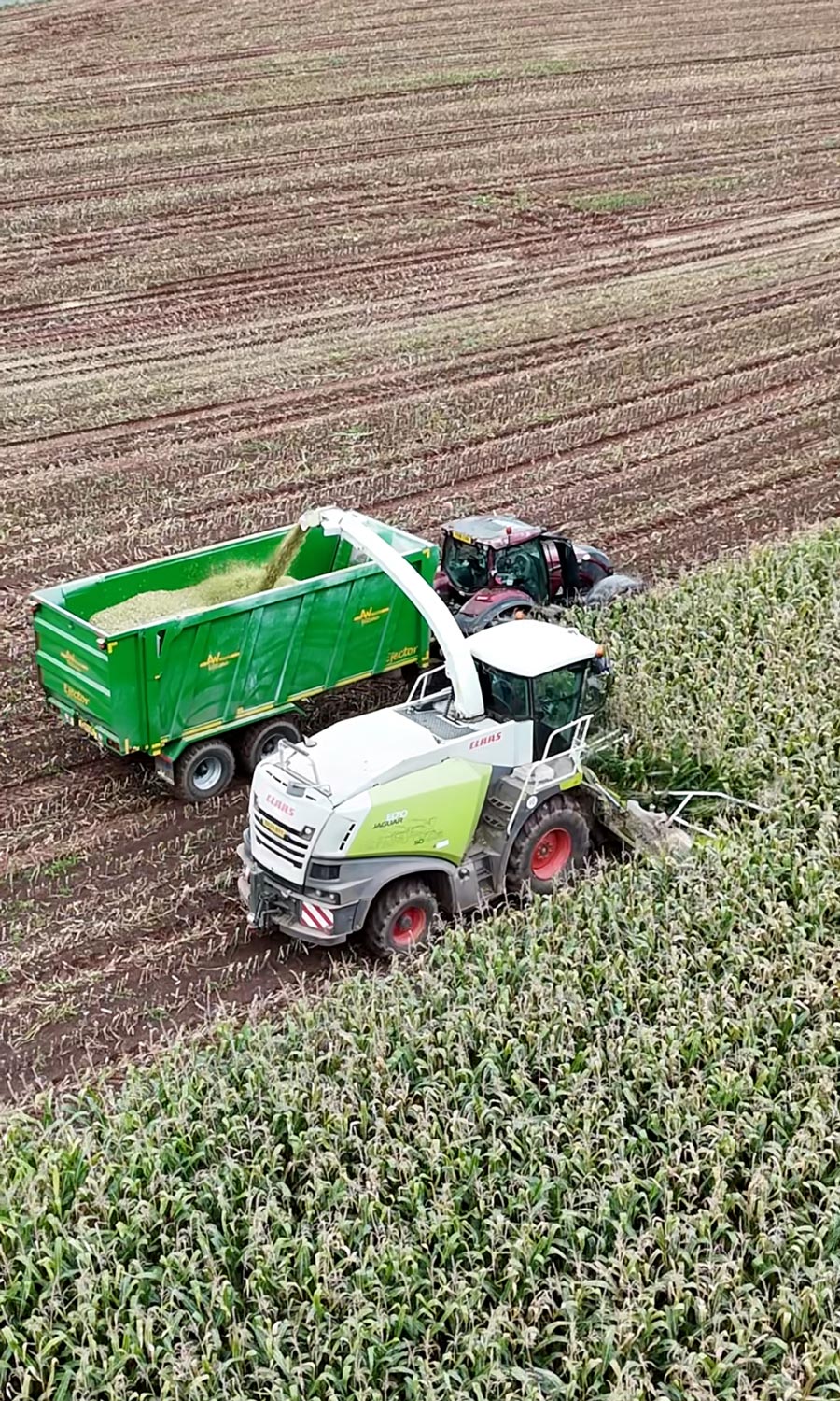 A tractor with a trailer on its back collecting farming ingredients from a combine harvester