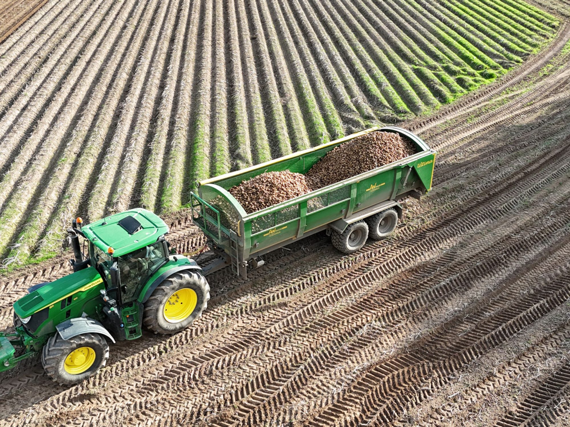 A large Ultima Potato & Root trailer working in a field being pulled by a tractor